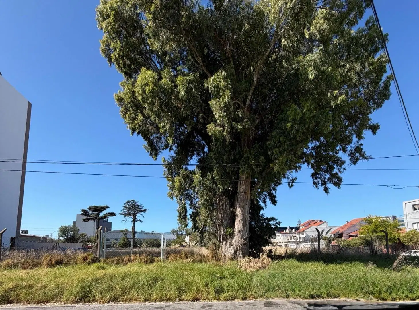 VENTA | LOTE | APTO DIVERSOS USOS 3