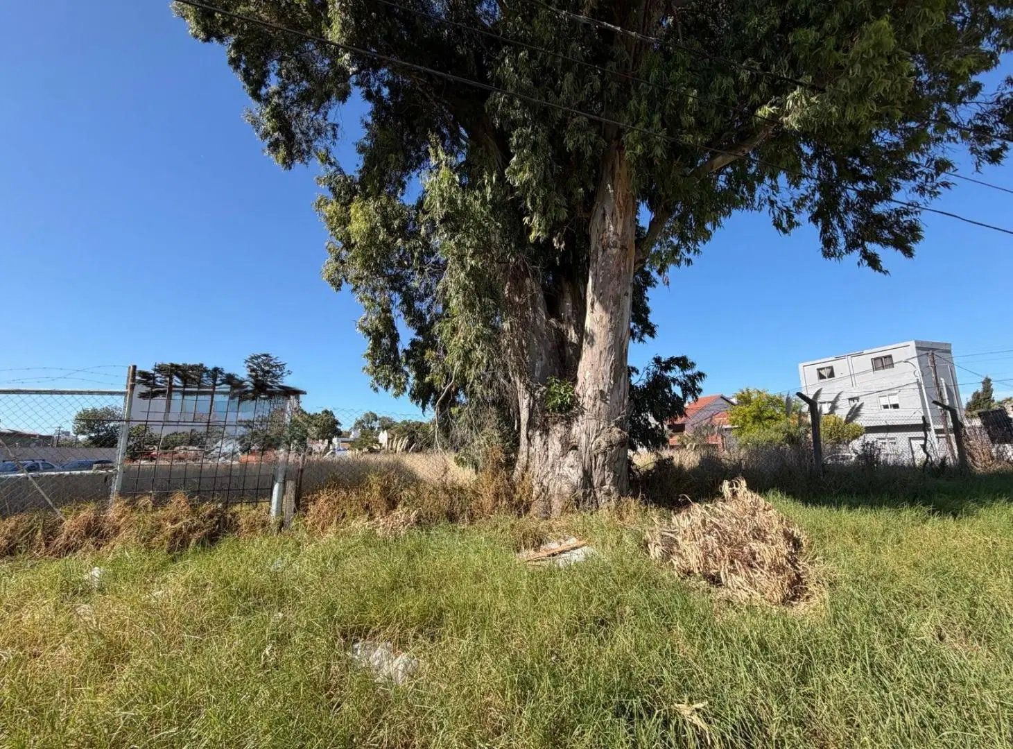 VENTA | LOTE | APTO DIVERSOS USOS 5