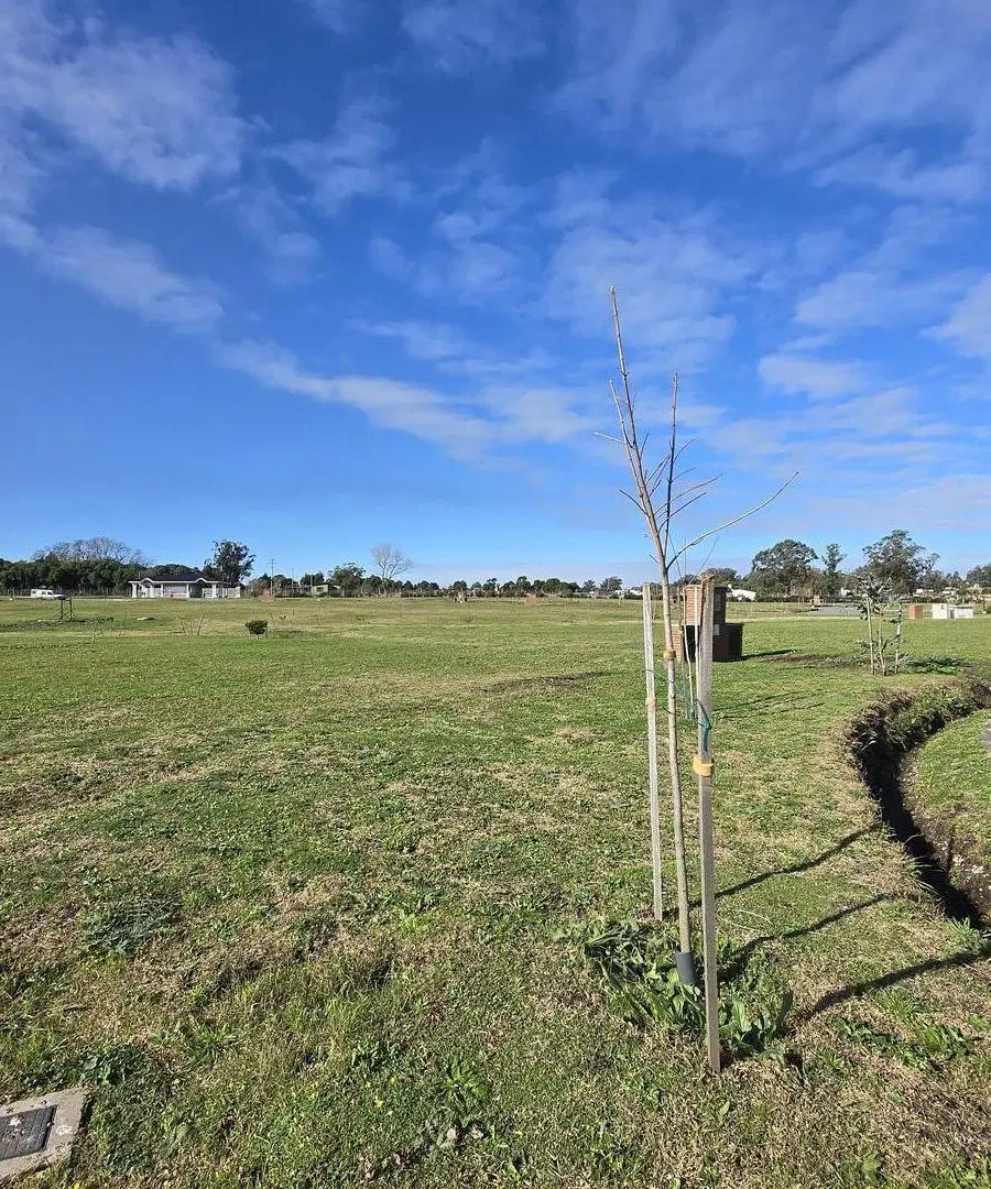 Terreno en Casonas del Haras 4