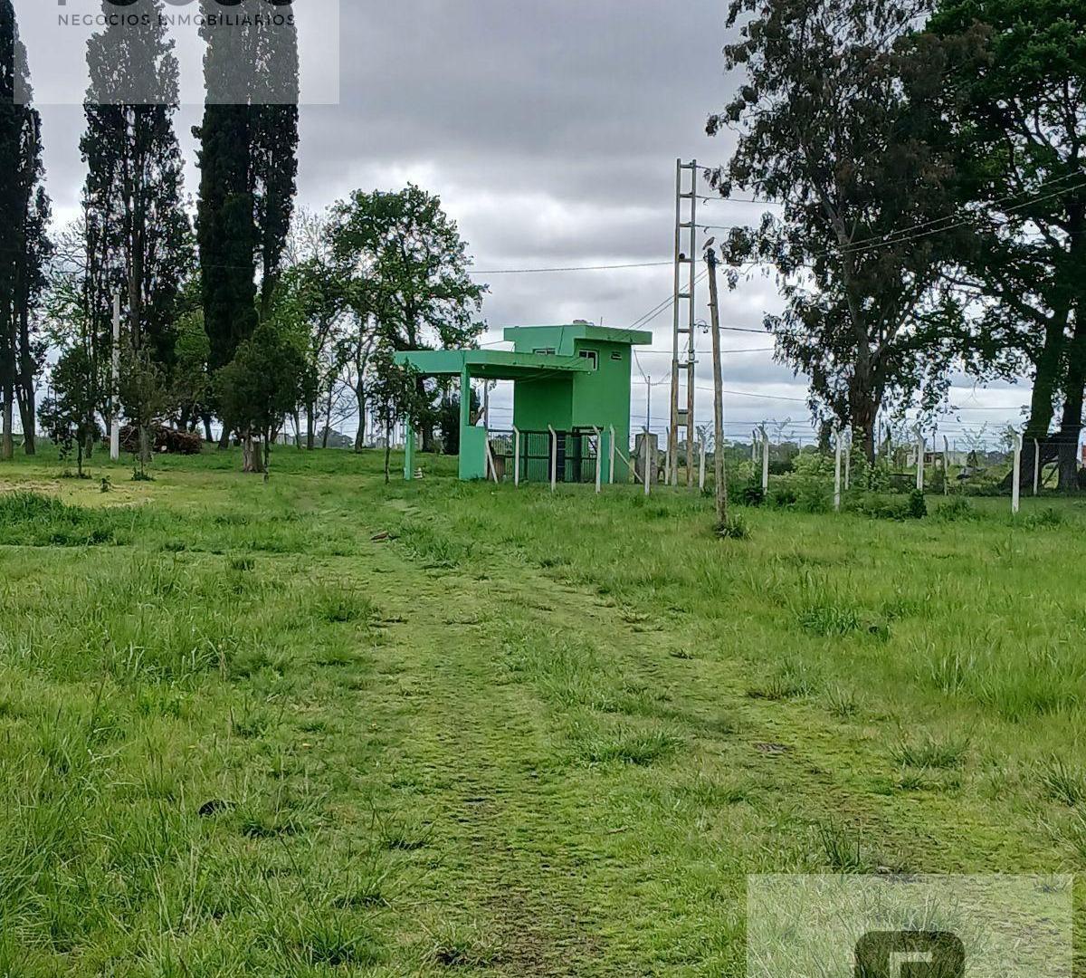 Foto de Terreno en Carlos Spegazzini, imagen 5