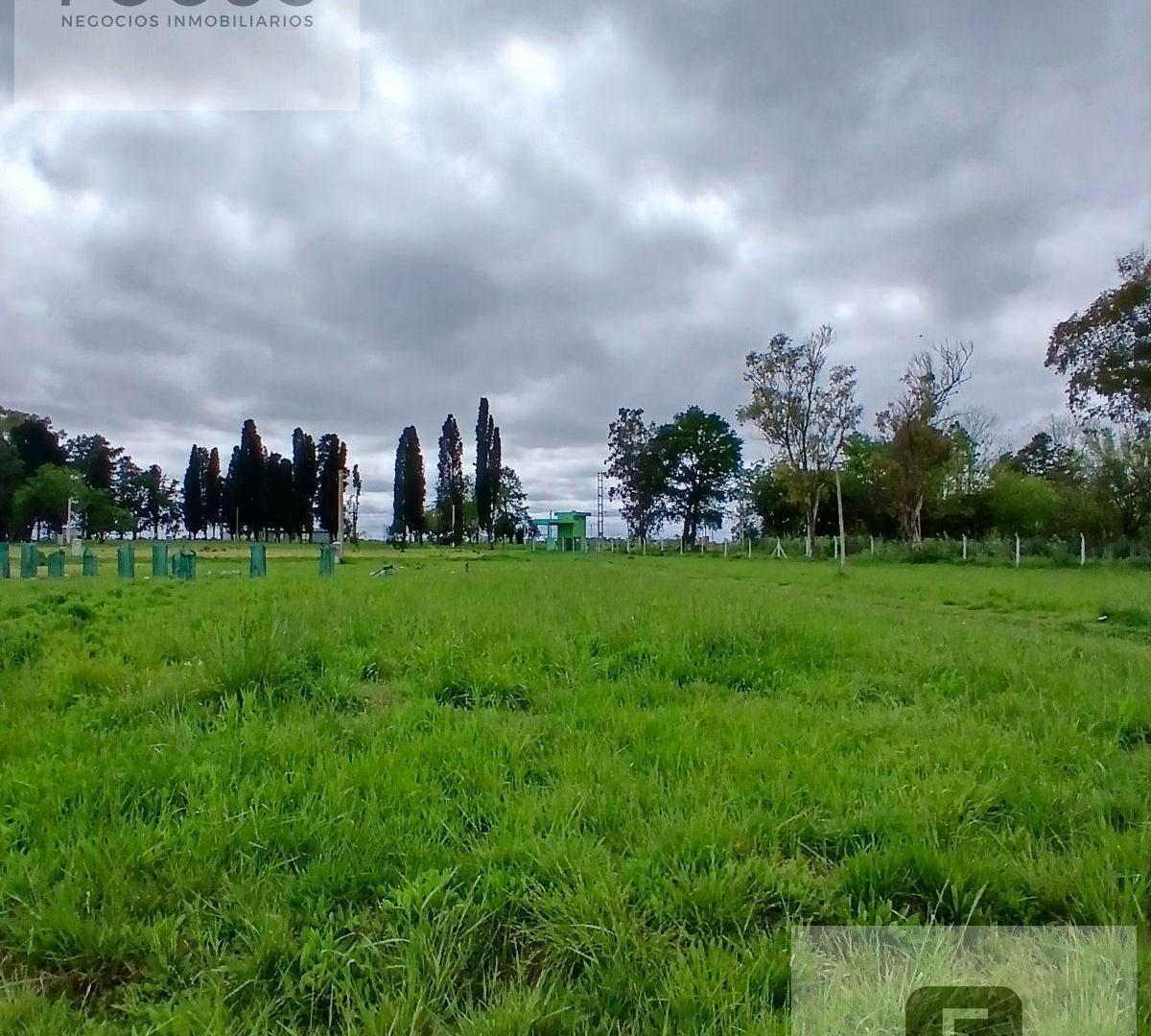 Foto de Terreno en Carlos Spegazzini, imagen 3
