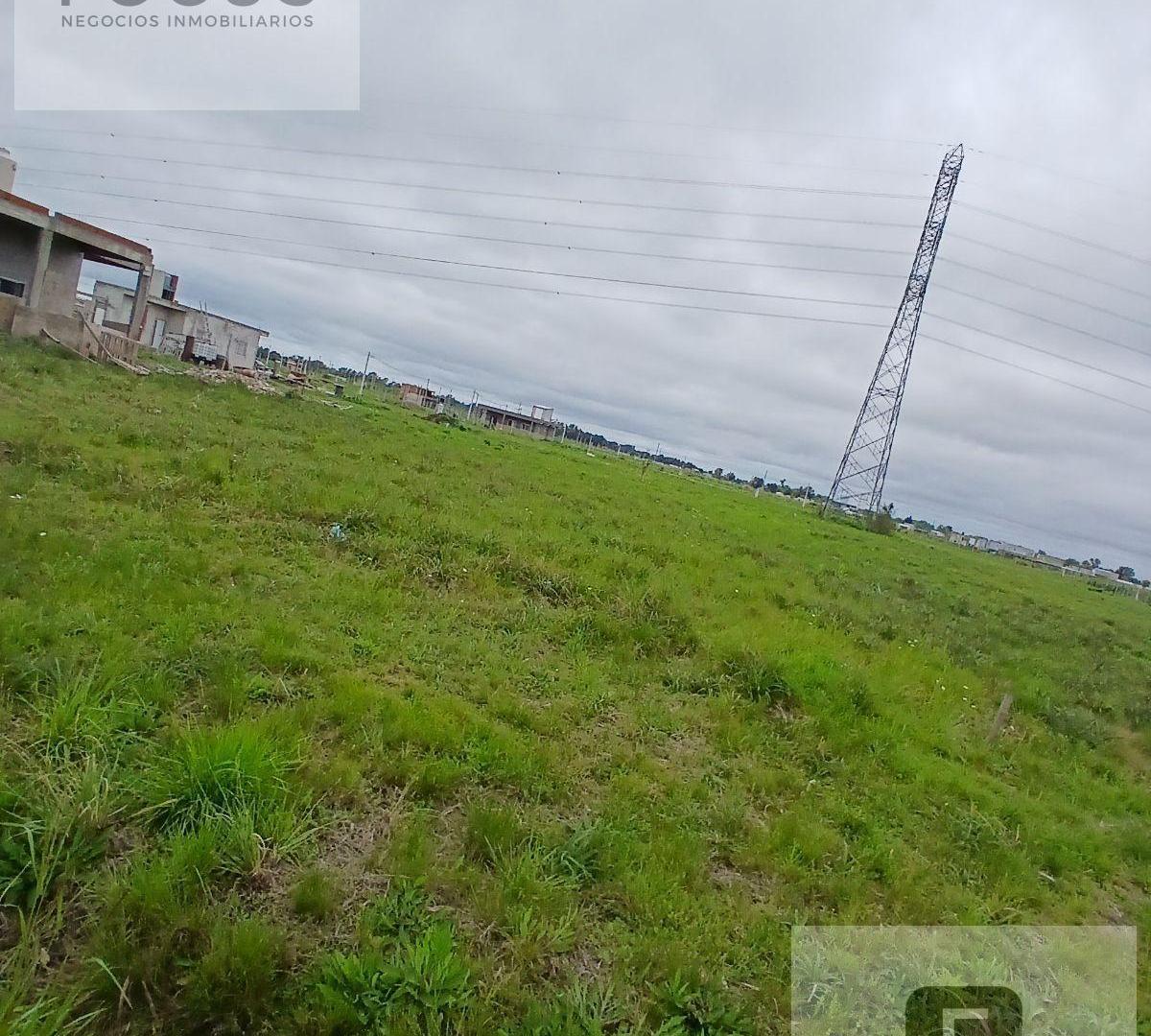 Foto de Terreno en Carlos Spegazzini, imagen 4