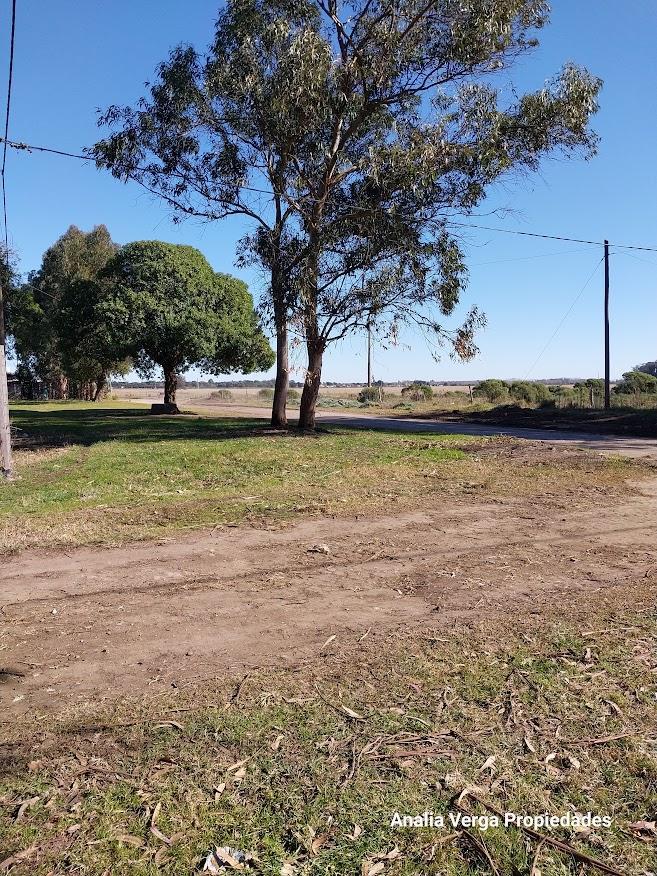 Terreno/lote Venta Bristol Miramar 4