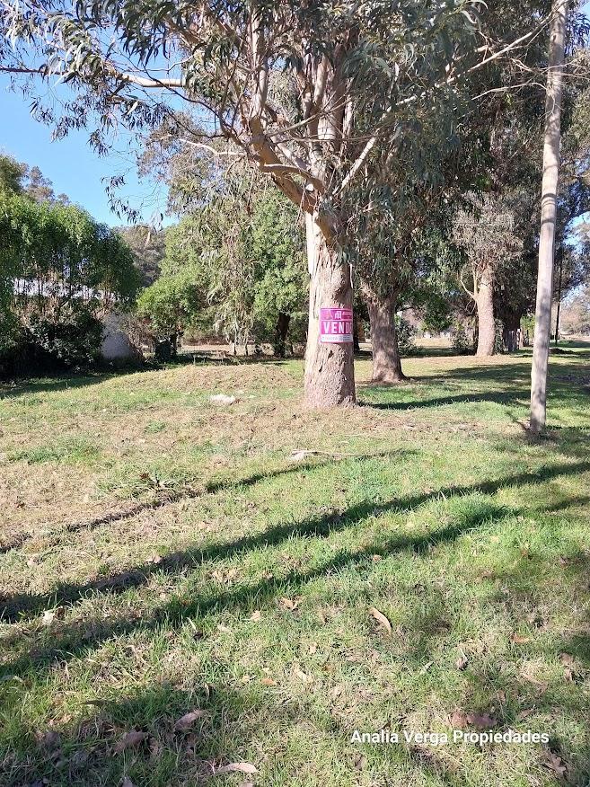Terreno/lote Venta Bristol Miramar 2