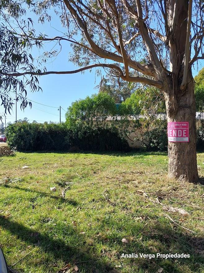 Terreno/lote Venta Bristol Miramar 3