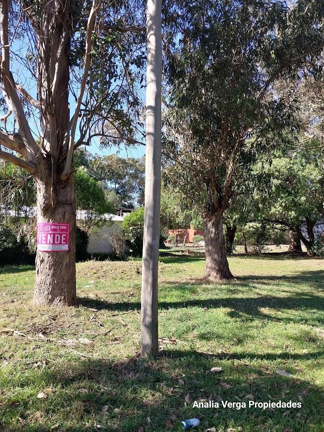 Terreno/lote Venta Bristol Miramar 4