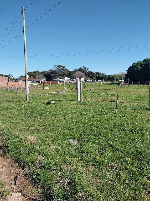 Terreno/lote en Venta 5