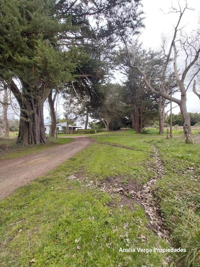 Lote/terreno en Venta Copacabana Miramar 5