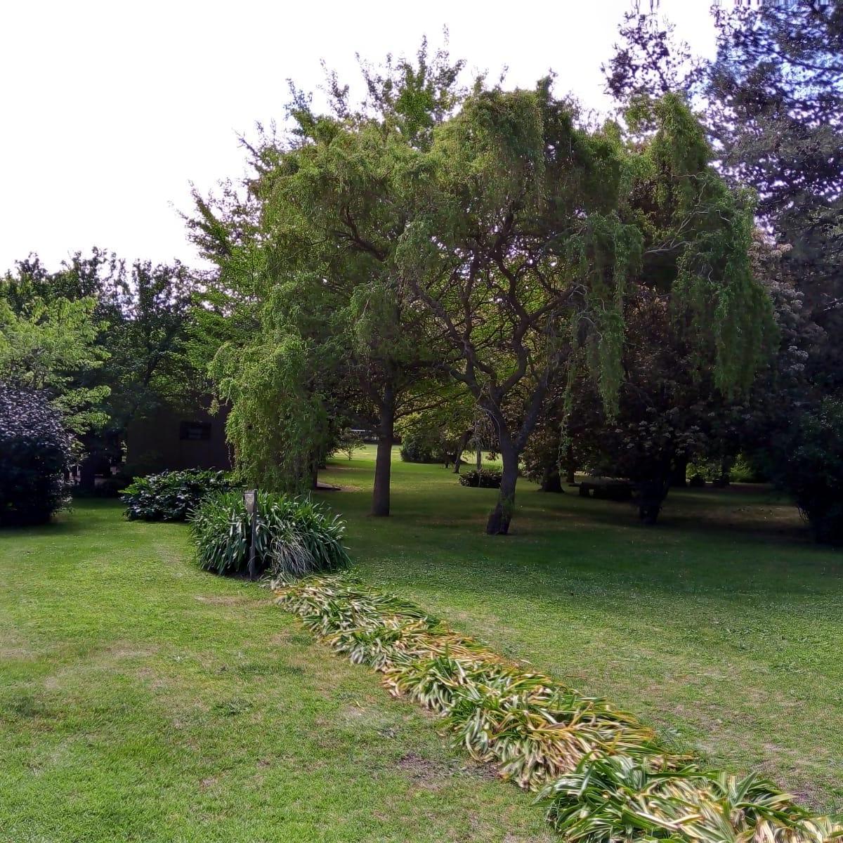 Casa Quinta en Miramar 5