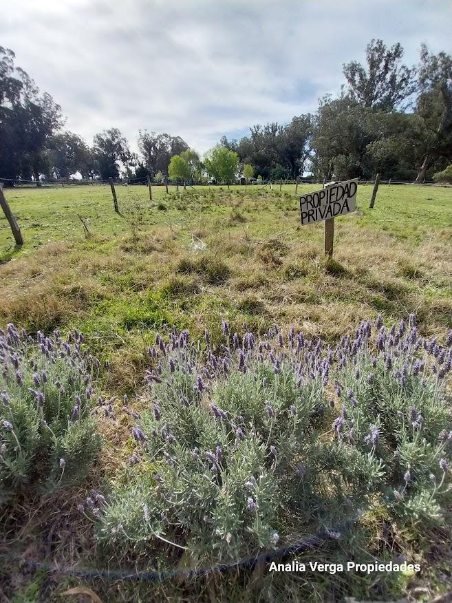 Venta Lote Bristol Miramar 5