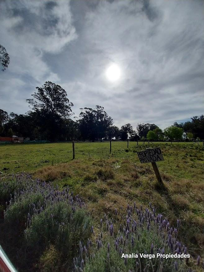 Venta Lote Bristol Miramar 3
