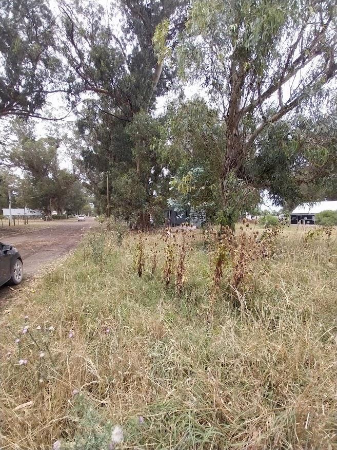 Venta Lote Terreno Parque Bristol Miramar 5