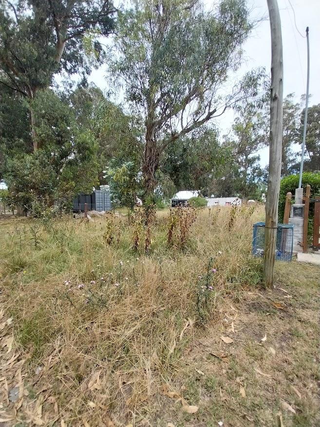 Venta Lote Terreno Parque Bristol Miramar 1