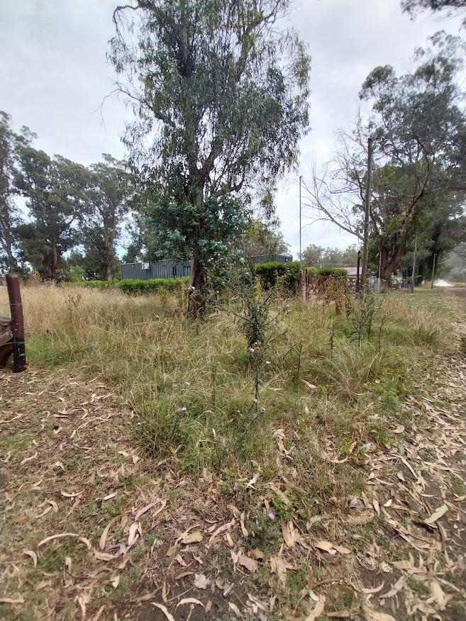 Venta Lote Terreno Parque Bristol Miramar 3