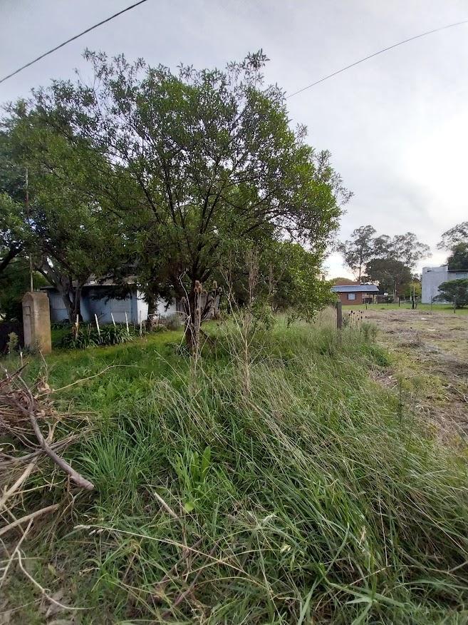 Terreno en Venta Bristol Miramar 1