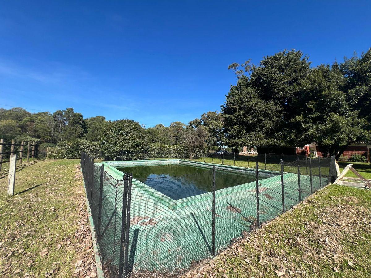 Foto de VENTA DOS TERRENOS EN ARENAS DE ORO TOTAL 600 MTRS, imagen 3