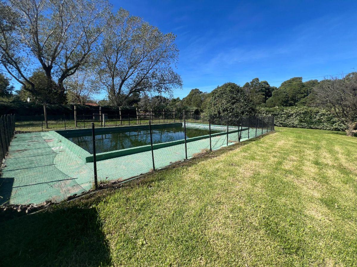 Foto de VENTA DOS TERRENOS EN ARENAS DE ORO TOTAL 600 MTRS, imagen 1