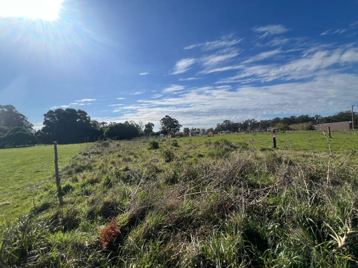 Foto de VENTA LOTE EN PARQUEMAR 593 MTRS, imagen 5