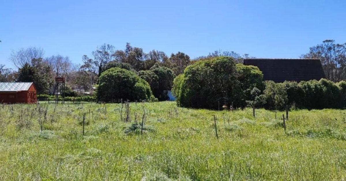 Foto de VENTA LOTE EN PARQUE BRISTOL 300 M2 CALLE 3 FEBRER, imagen 2