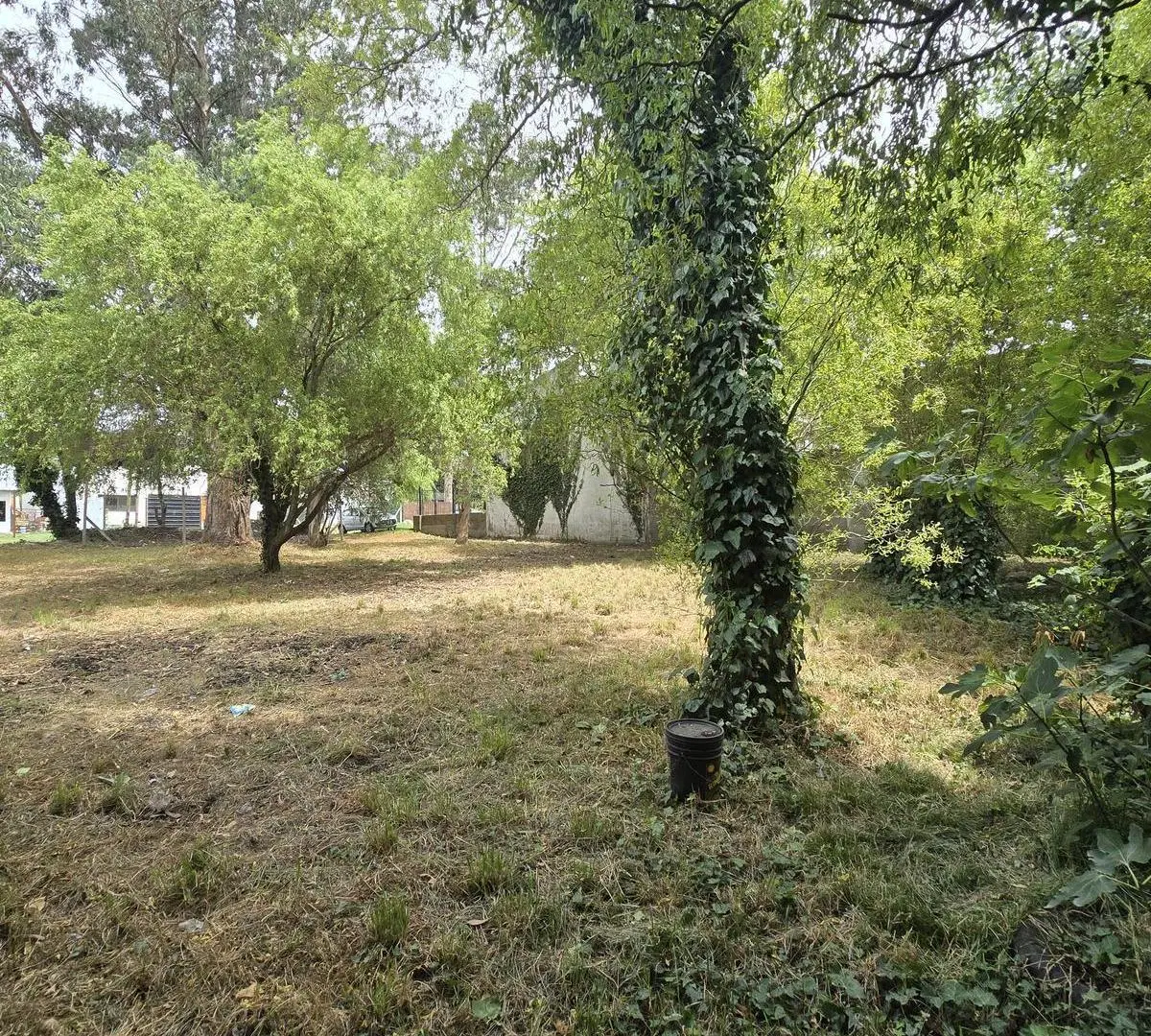 Venta 2 Lotes de 688 metros totales en Barrio Colinas de Peralta Ramos 3