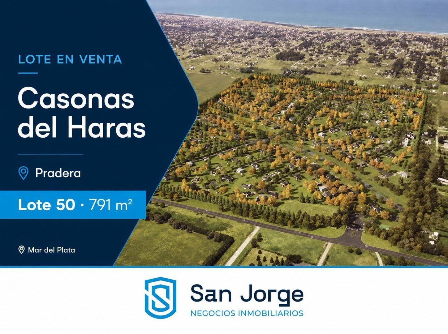 Foto de Lote en cul de sac de 791 m² en Casonas del Haras, sector Pradera, imagen 4