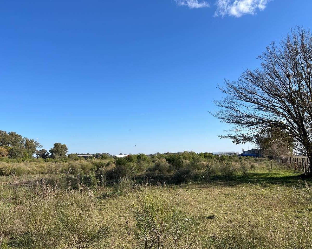 VENTA DE LOTE 1,3 HAS SOBRE RUTA 5 ACEPTA PERMUTA