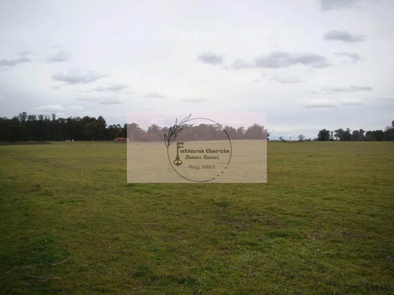 Oportunidad Unica en Tandil Terrenos Premium. Venta 3