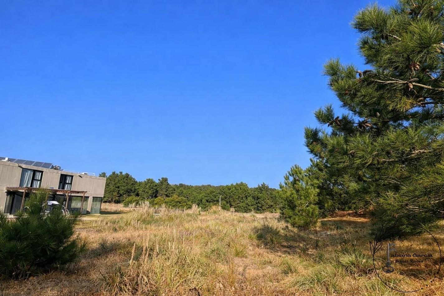 Foto de LOTE 100 EN VENTA - ECUESTRE, COSTA ESMERALDA, imagen 2
