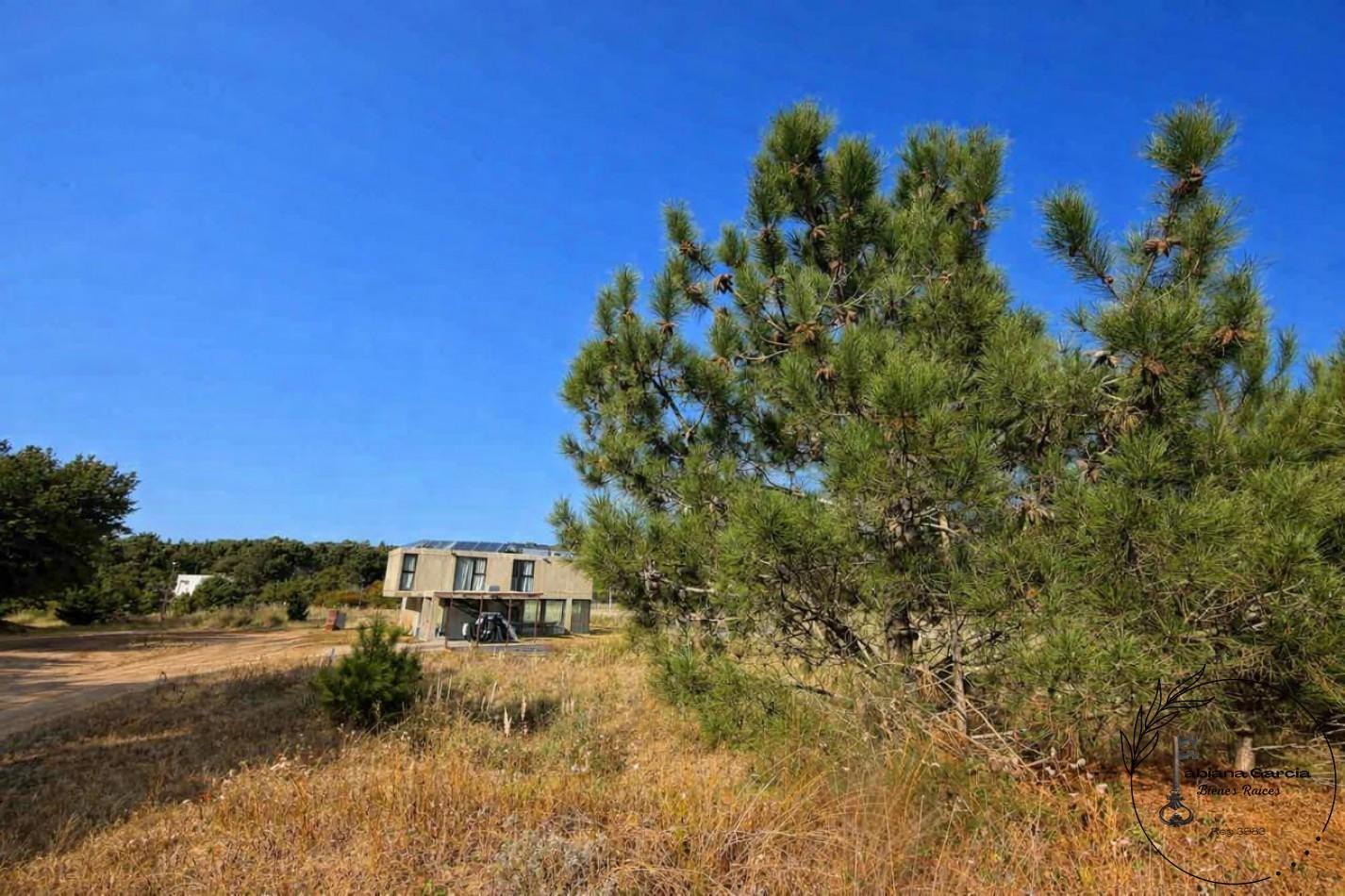 Foto de LOTE 100 EN VENTA - ECUESTRE, COSTA ESMERALDA, imagen 5