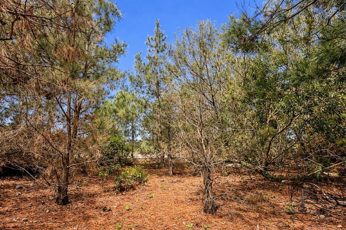 Foto de LOTE 100 EN VENTA - ECUESTRE, COSTA ESMERALDA, imagen 1