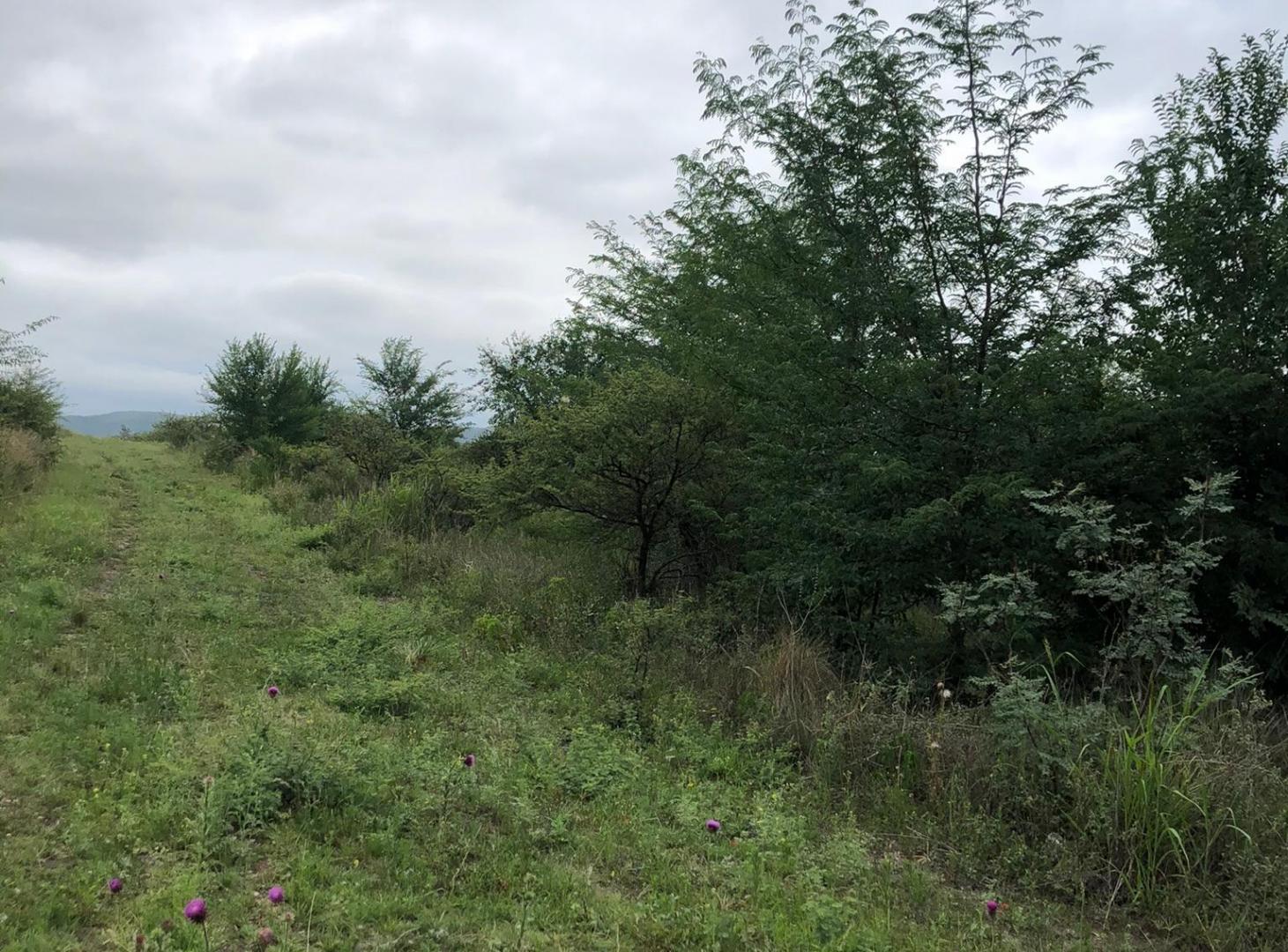 VENTA TERRENOS MIRADOR DEL LAGO desde 1200m2 