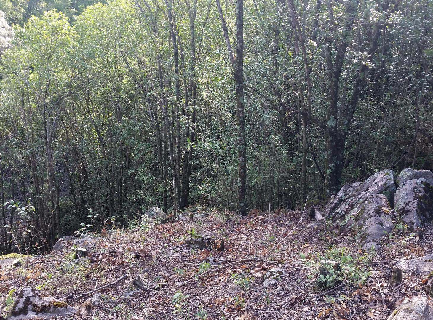 Foto de Rio Ceballos. Terreno en Venta Barrio Parque Rio Ceballos., imagen 2