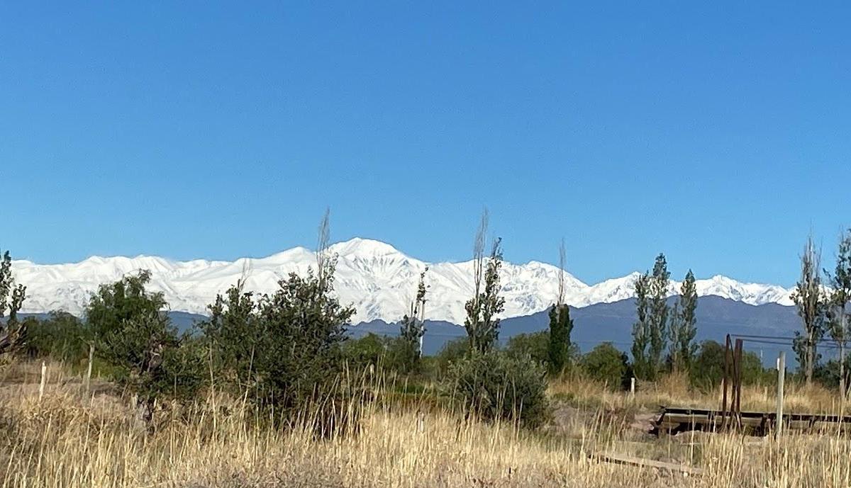 Campo de 3 Has Ingreso por Calle Vargas y Castro Barros Maipu 1