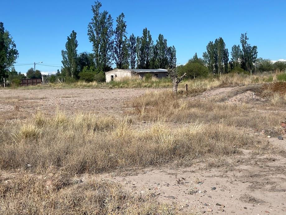 Campo de 3 Has Ingreso por Calle Vargas y Castro Barros Maipu 3
