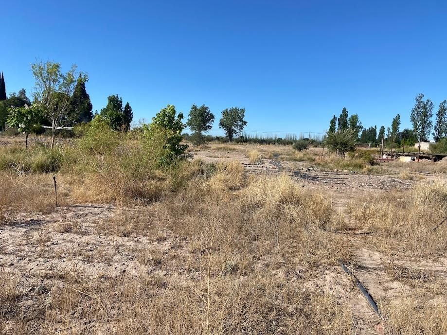 Campo de 3 Has Ingreso por Calle Vargas y Castro Barros Maipu 2