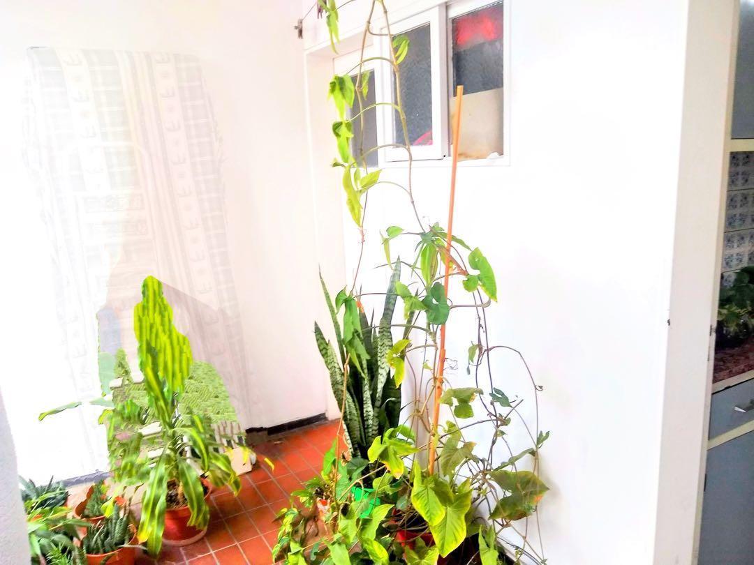 Venta Excelente Departamento Tipo Casa en Mendoza 2