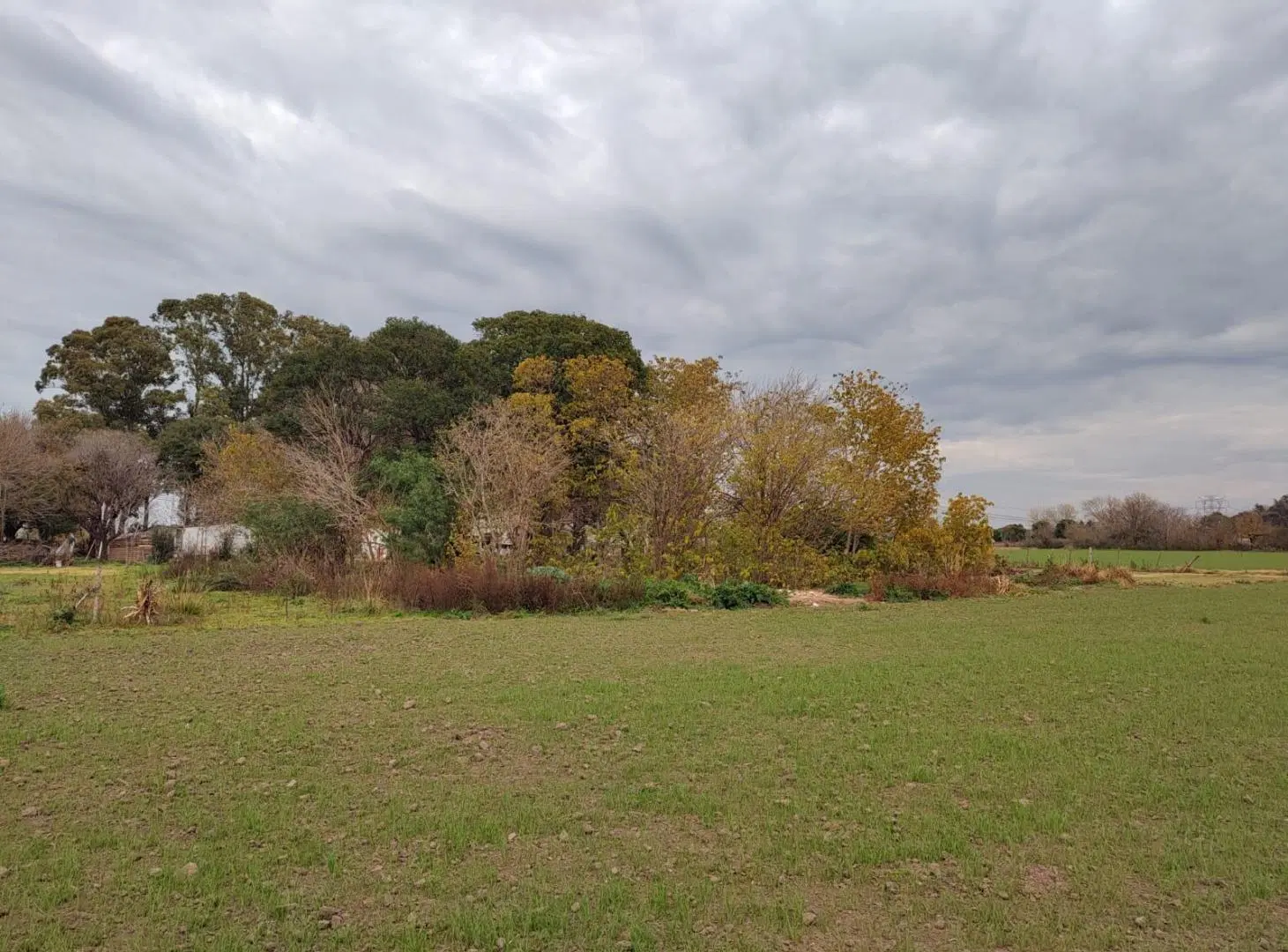 VENTA CAMPO SAN NICOLAS 12 HAS PARA SIEMBRA 4