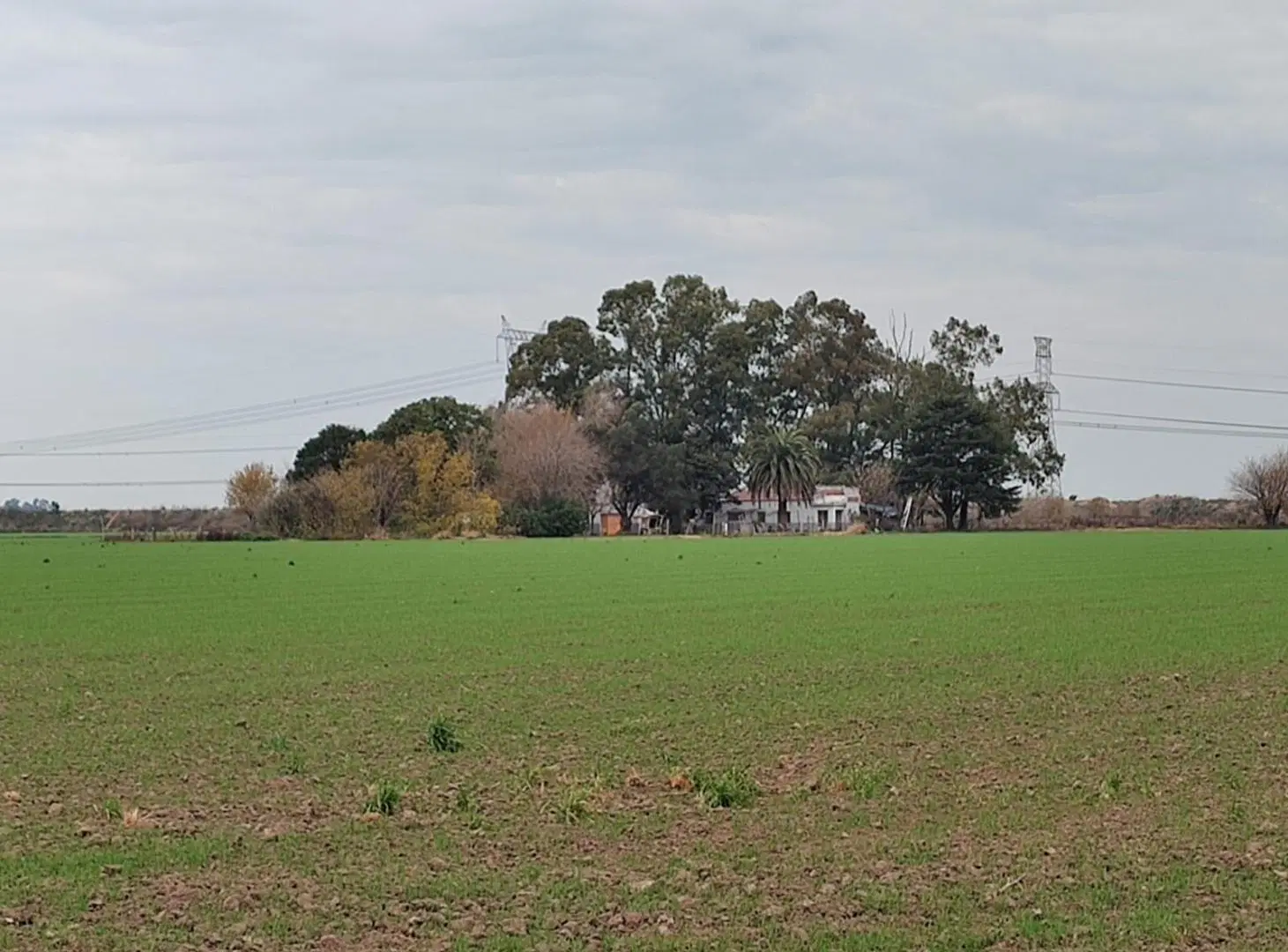 VENTA CAMPO SAN NICOLAS 12 HAS PARA SIEMBRA 2