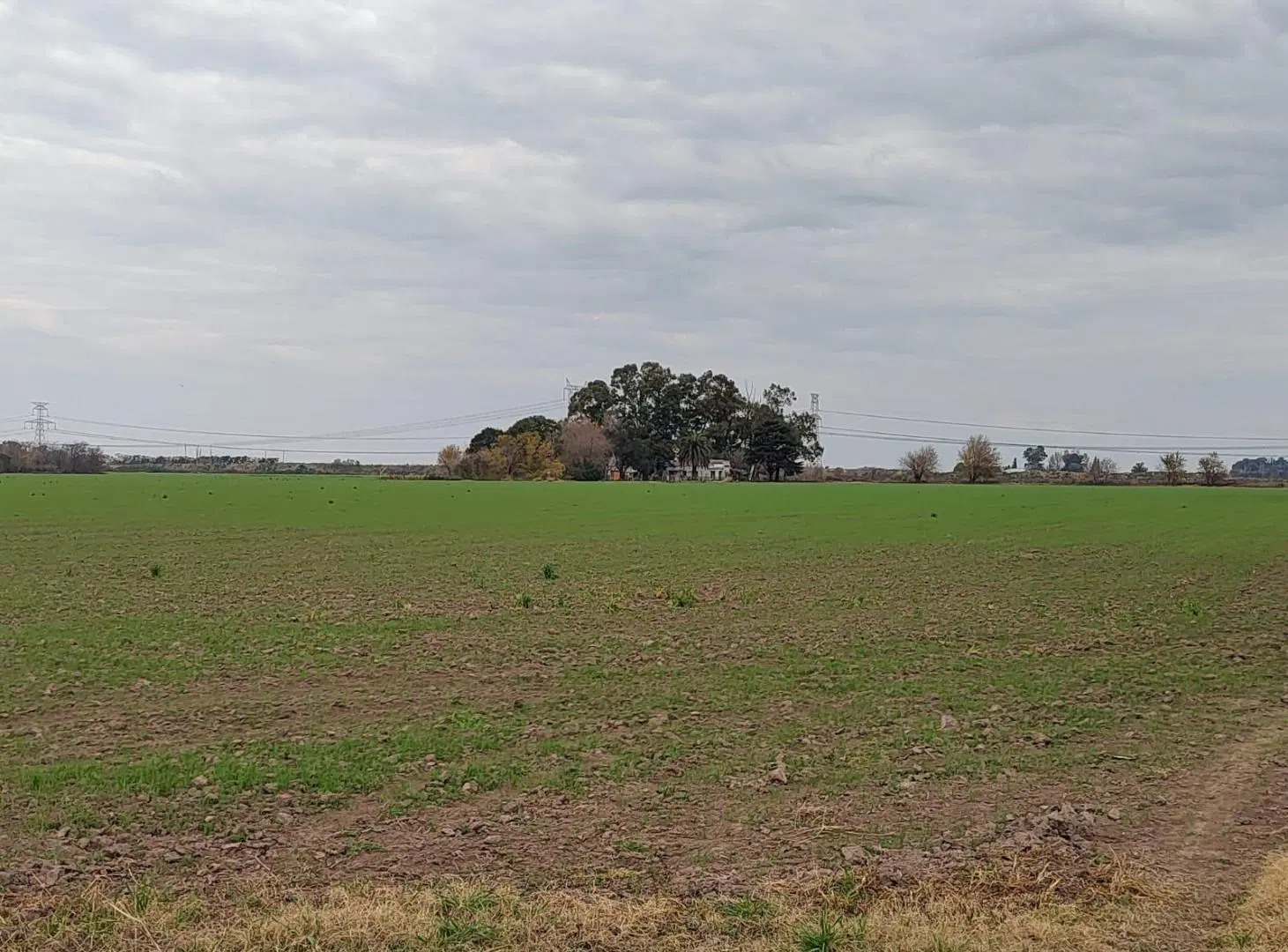 VENTA CAMPO SAN NICOLAS 12 HAS PARA SIEMBRA 5