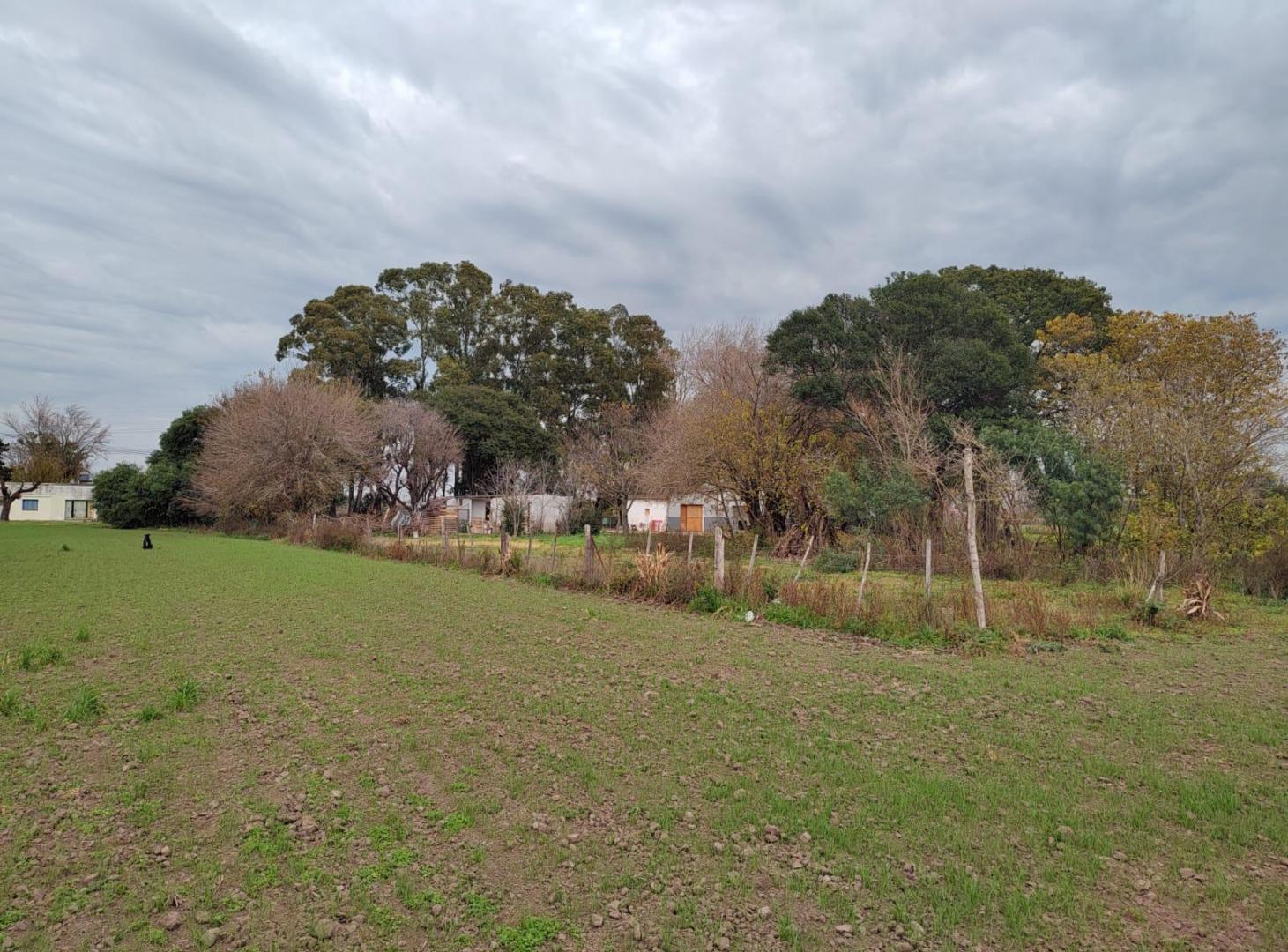 VENTA CAMPO SAN NICOLAS 12 HAS PARA SIEMBRA