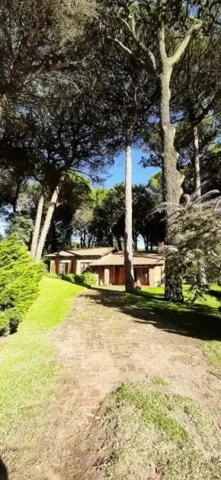 Excelente casa con pileta en el bosque de Carilo 1