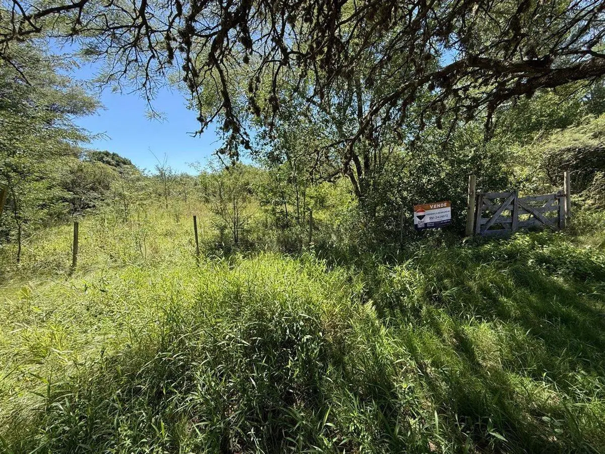 LOTE 603 M2 ESCRITURA VILLA GRA BELGRANO 5