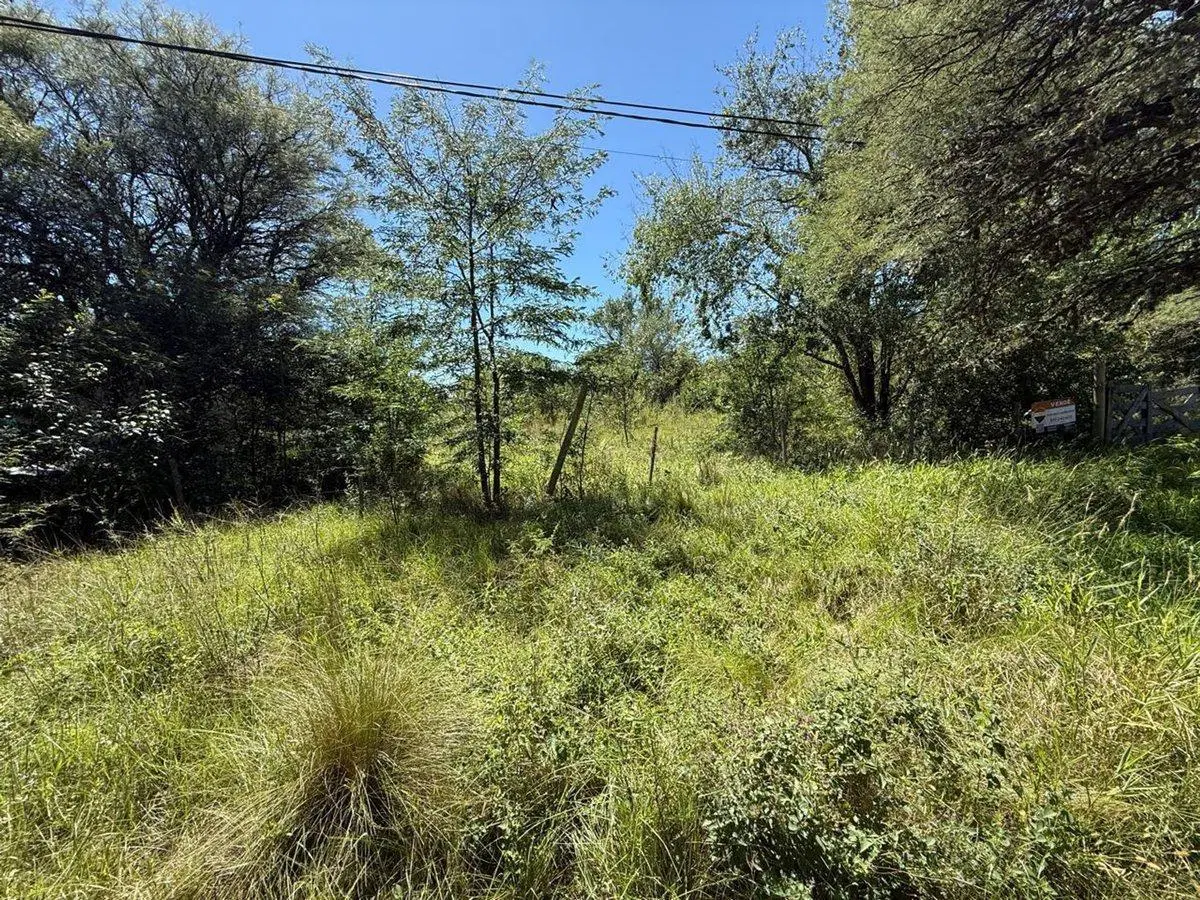 LOTE 603 M2 ESCRITURA VILLA GRA BELGRANO 4