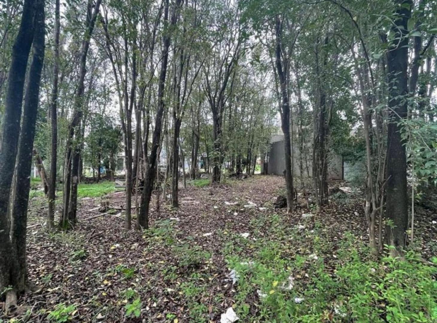 VENTA LOTE 300 M2 VILLA CATALINA CAMPOS VERDE