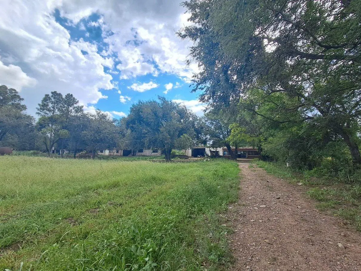 Campo 2.8 has con galpon y casa a refaccionar 5