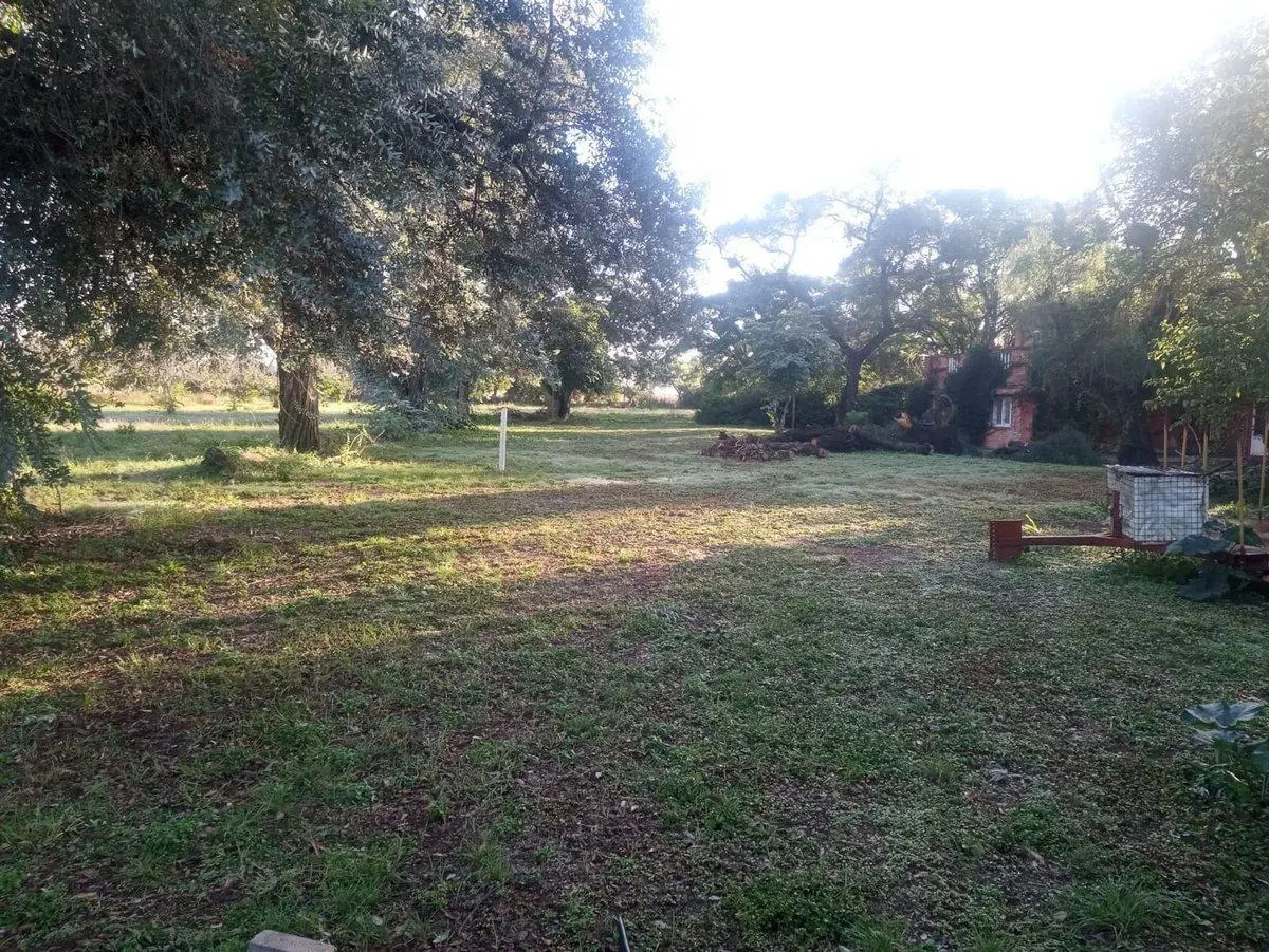 LOTE A METROS LAGO PIEDRAS MORAS 6025 M 4
