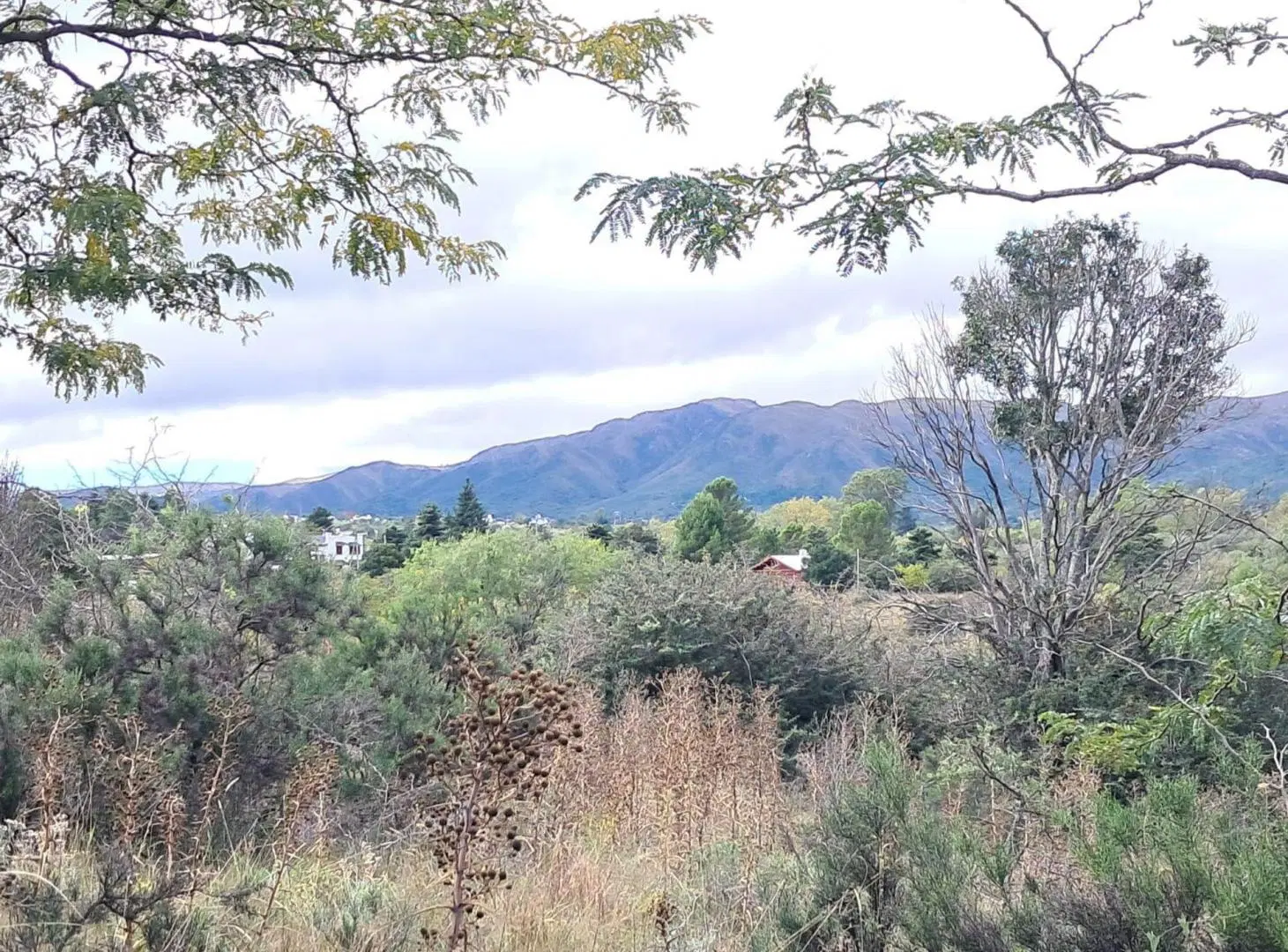 Oportunidad 3 Lotes 5500m2 Villa Giardino 4