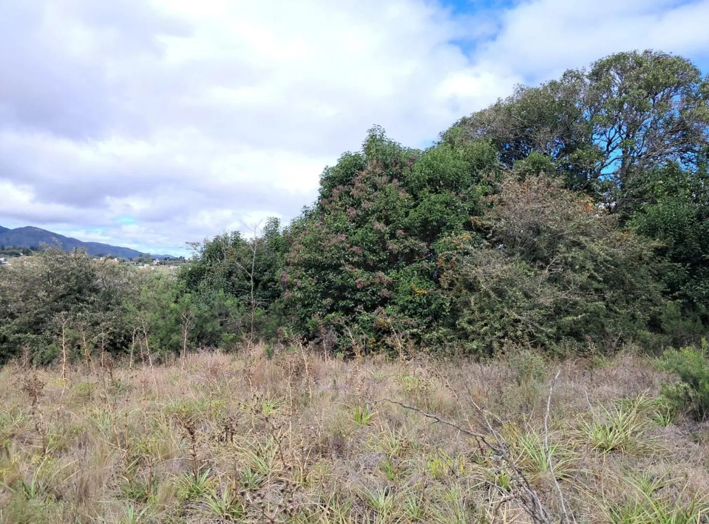 Oportunidad 3 Lotes 5500m2 Villa Giardino 5