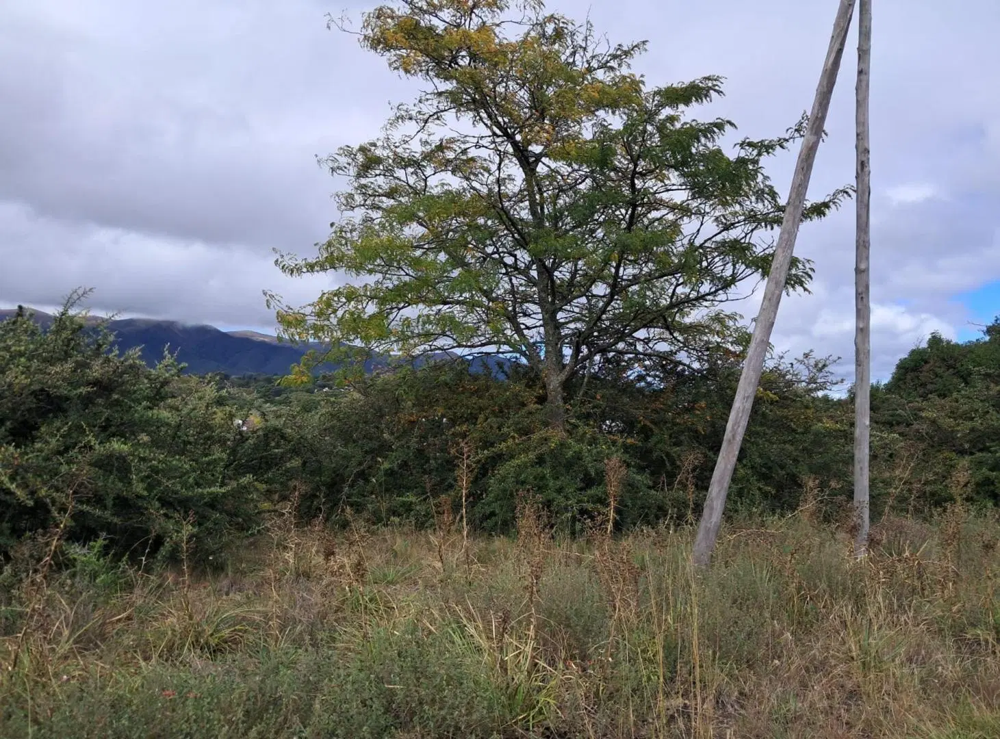 Oportunidad 3 Lotes 5500m2 Villa Giardino 2