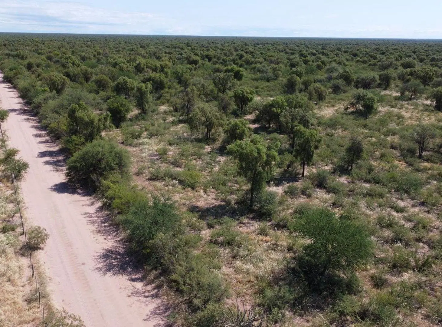 Venta Campo Ganadero 2183 hectáreas en Quilino 5